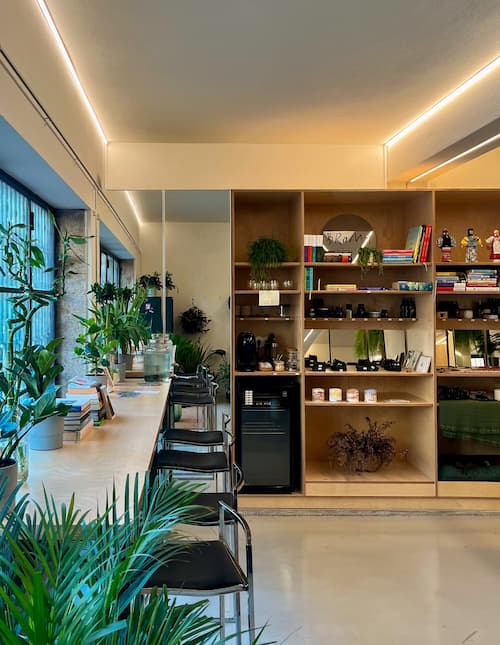 Window-side counter with plants and wooden display shelves at Brama Hair Studio